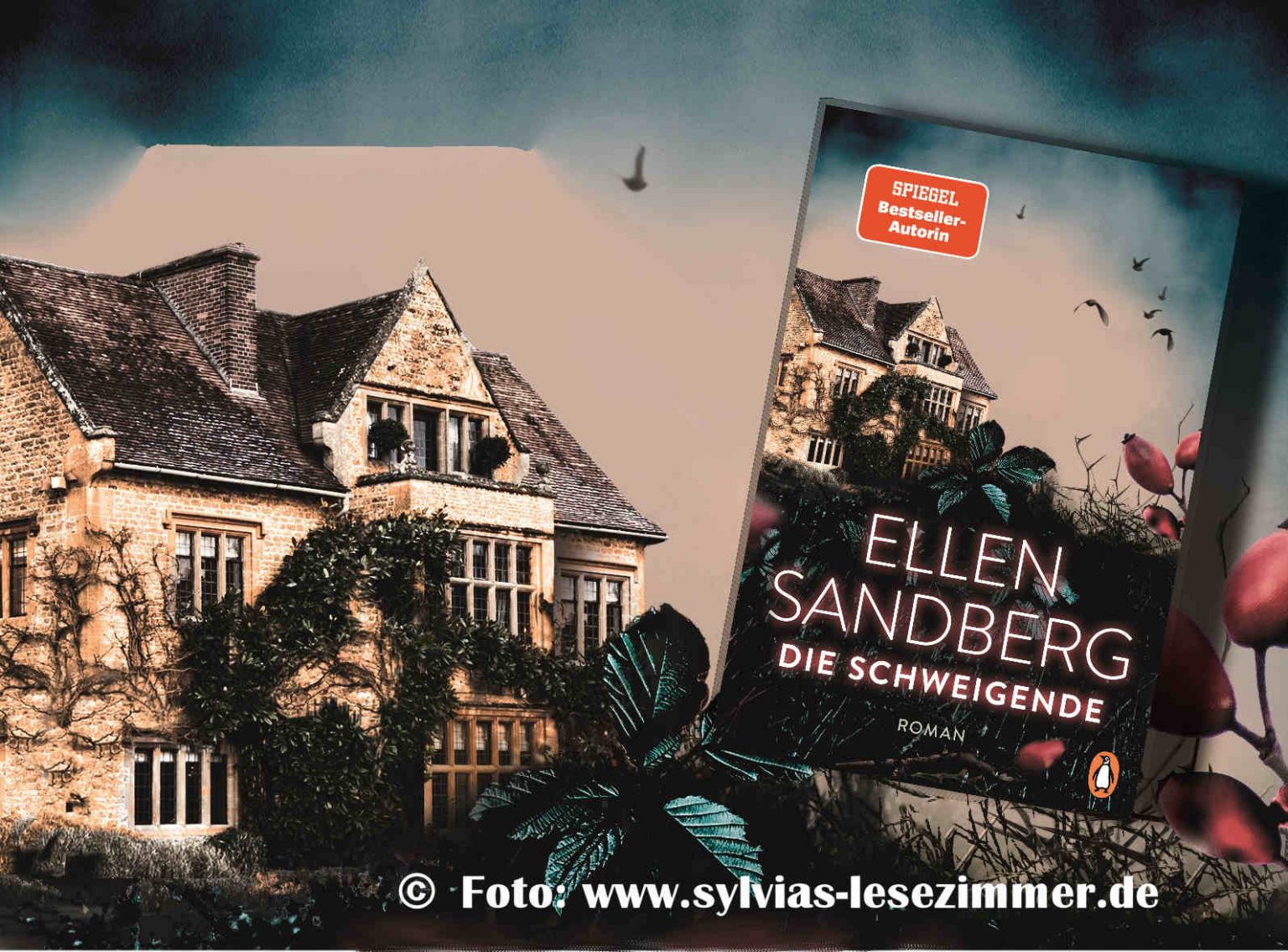 Die Schweigende Sylvias Lesezimmer